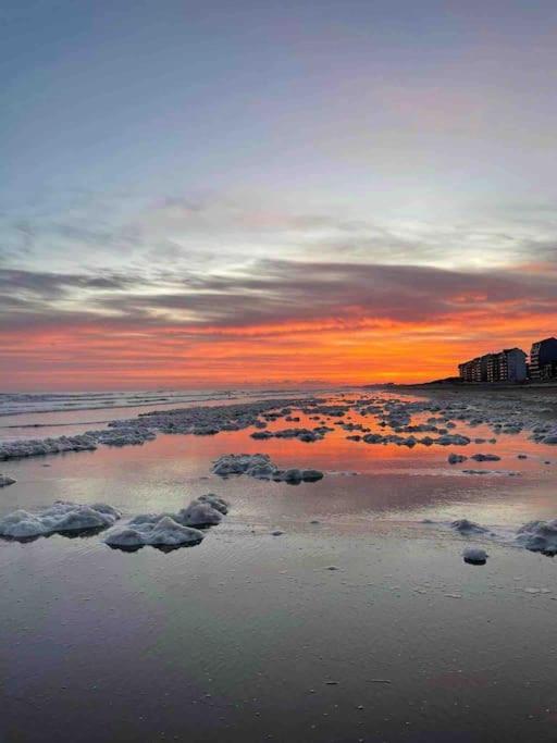 Face A La Mer, Appartement Rdc Bray Dunes Ngoại thất bức ảnh
