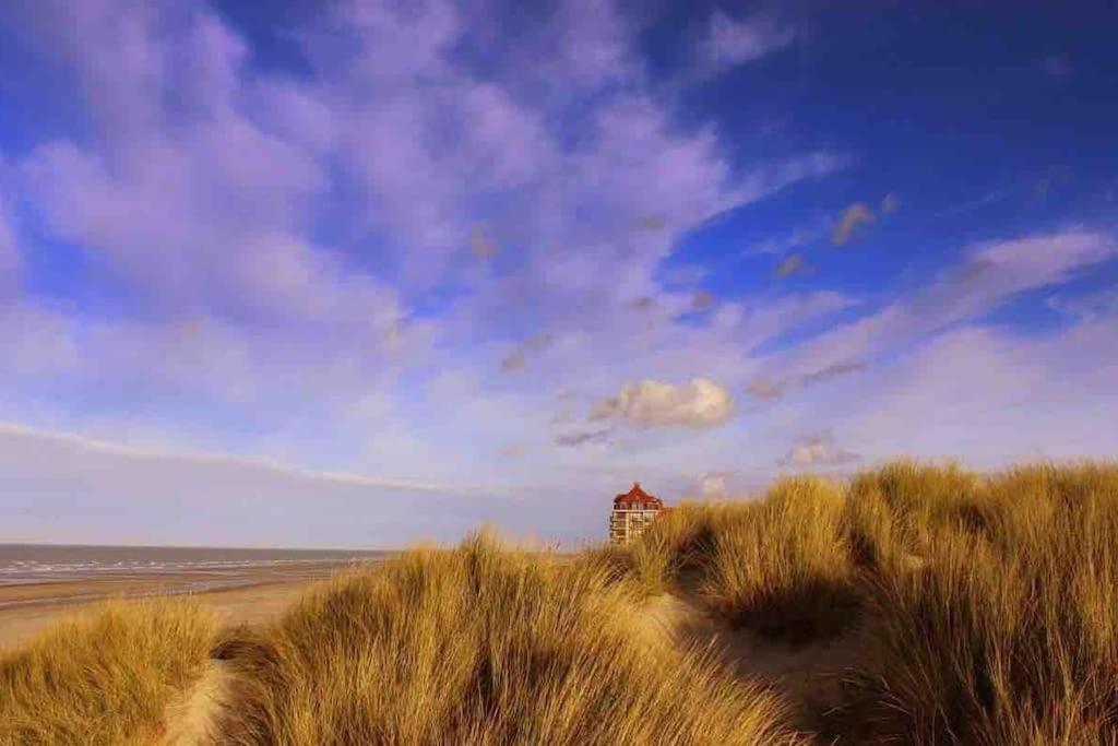 Face A La Mer, Appartement Rdc Bray Dunes Ngoại thất bức ảnh