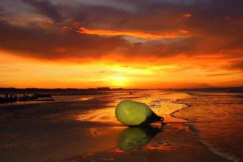 Face A La Mer, Appartement Rdc Bray Dunes Ngoại thất bức ảnh